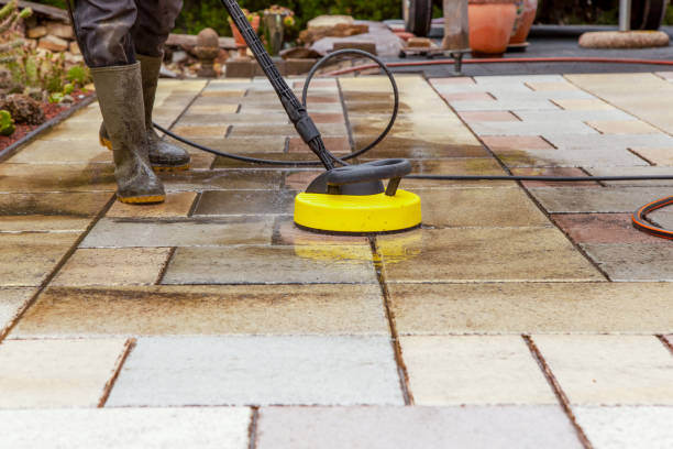 Best Fence Cleaning  in Gravette, AR